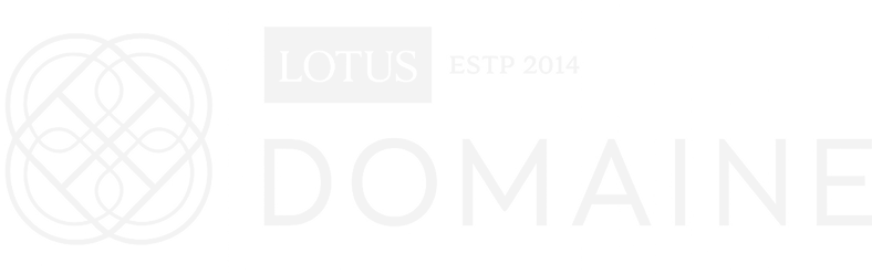 Domaine Capital logo